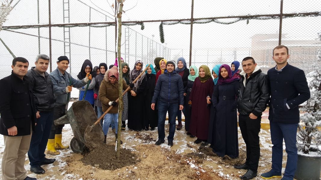 Alb M T Rk Telekom K Z Anadolu Mam Hatip Lisesi